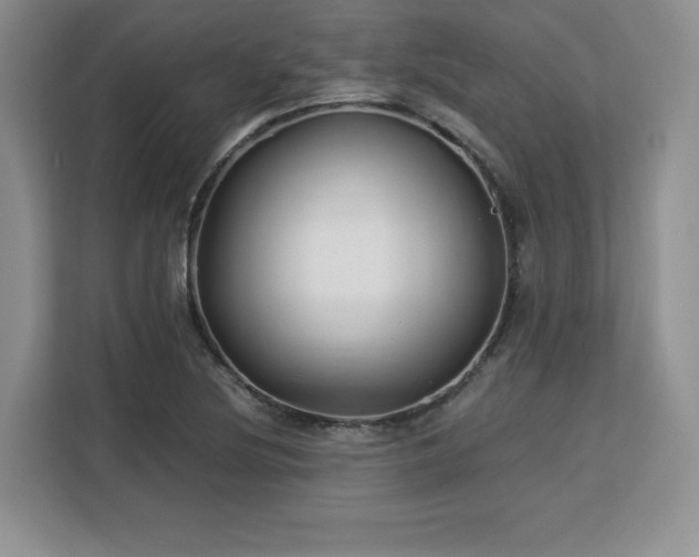 X0000113141220200909110927