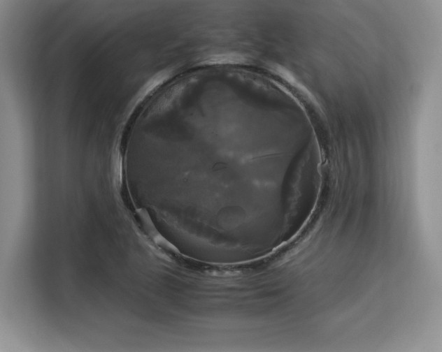 X0000113141221200909110927