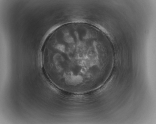 X0000113141223200909110927