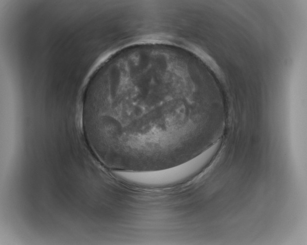 X0000113141224200909110927