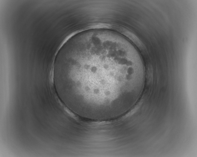 X0000113141228200909110927