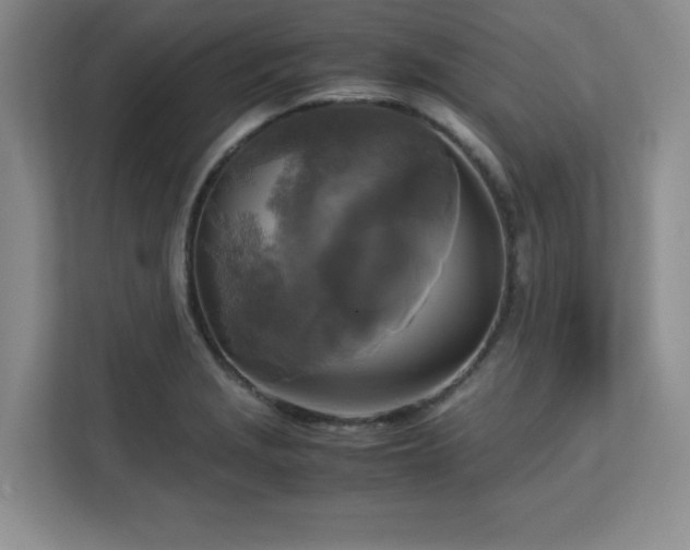 X0000113141229200909110927