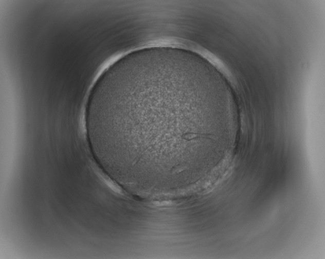 X0000113141230200909110927