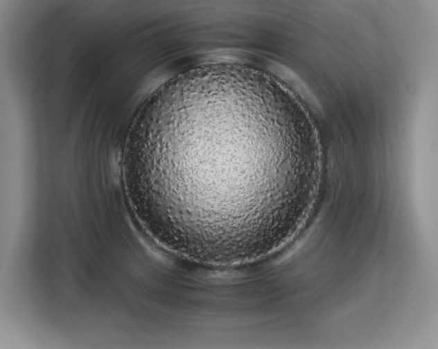 X0000113141233200909110927