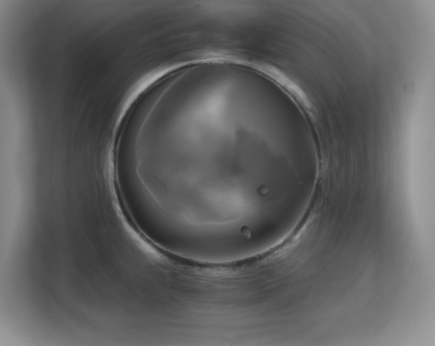 X0000113141239200909110927