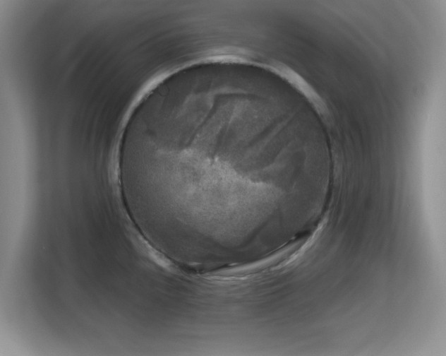 X0000113141240200909110927