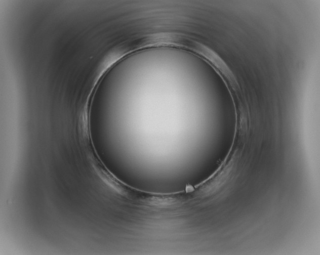 X0000113141242200909110927