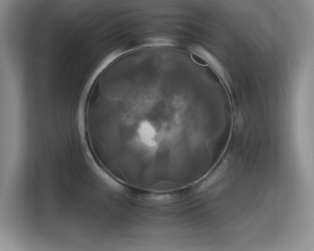 X0000113141243200909110927