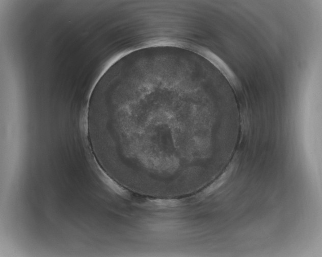 X0000113141244200909110927