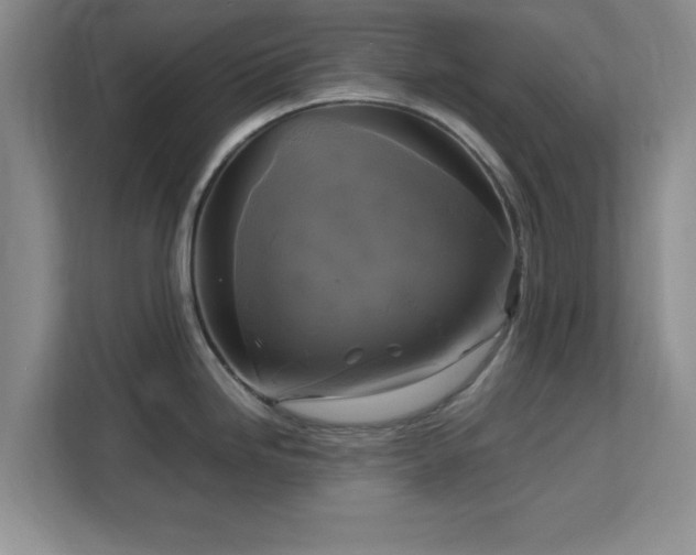 X0000113141246200909110927