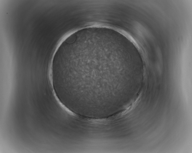 X0000113141247200909110927