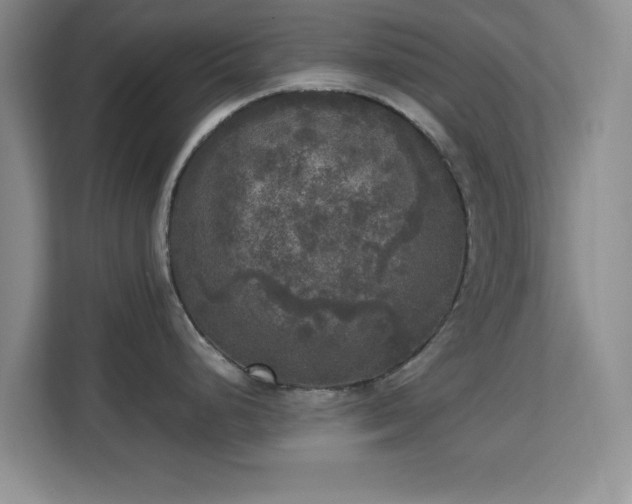 X0000113141248200909110927