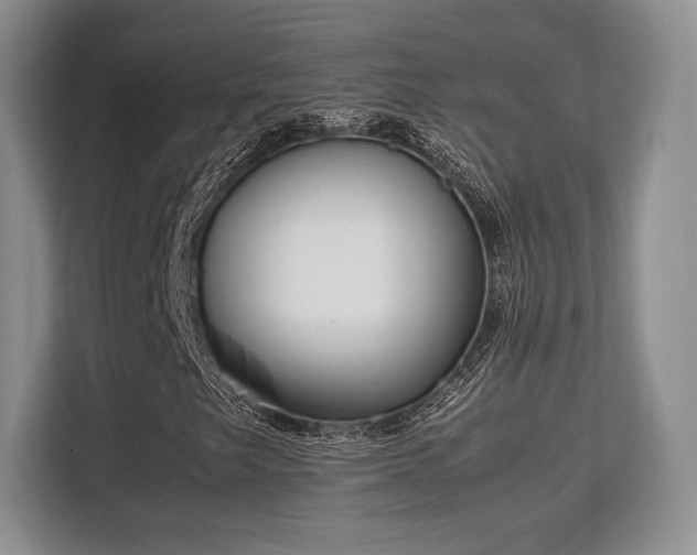 X0000113141249200909110927