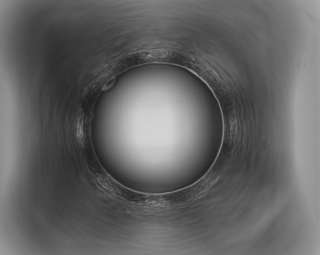 X0000113141250200909110927