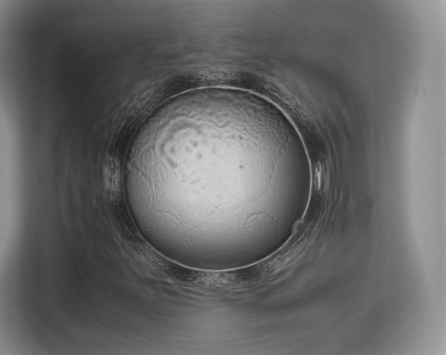 X0000113141251200909110927