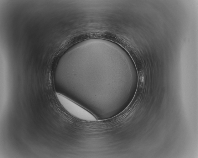 X0000113141252200909110927