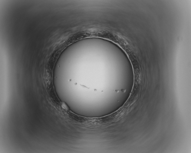 X0000113141253200909110927