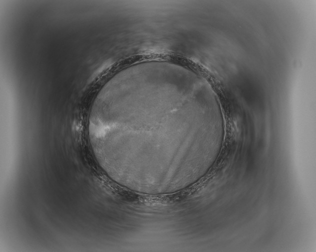 X0000113141254200909110927