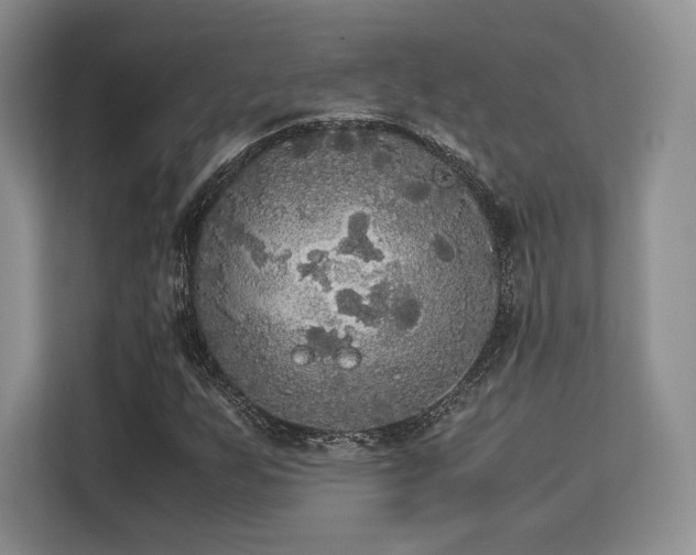 X0000113141255200909110927