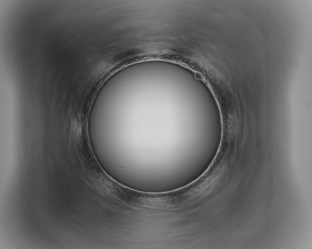 X0000113141257200909110927