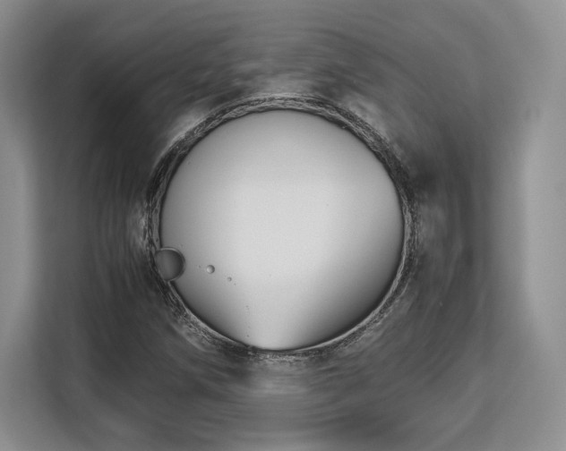 X0000113141258200909110927