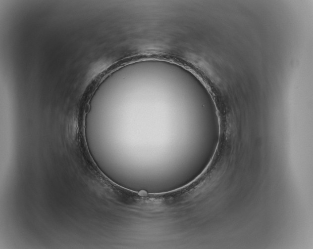 X0000113141261200909110927