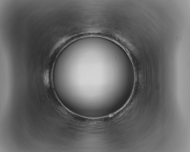 X0000113141262200909110927