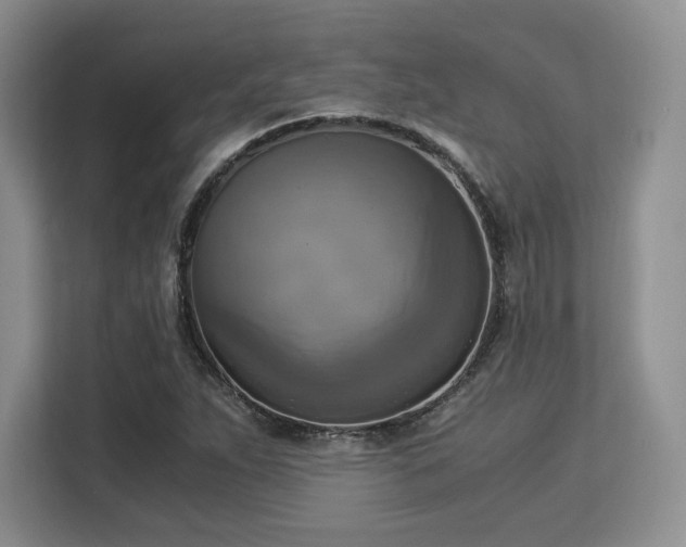 X0000113141263200909110927