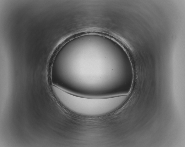 X0000113141264200909110927