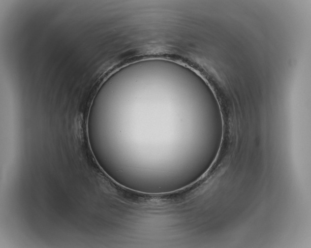 X0000113141265200909110927