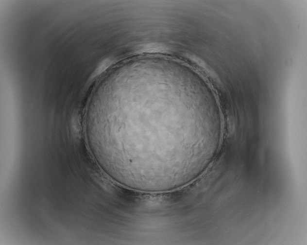 X0000113141266200909110927