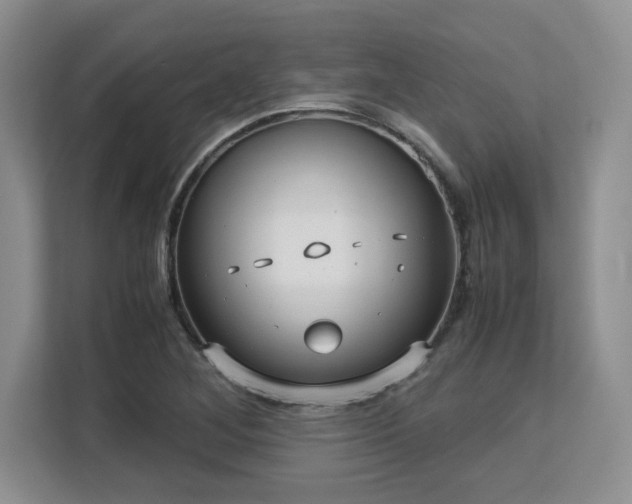 X0000113141268200909110927