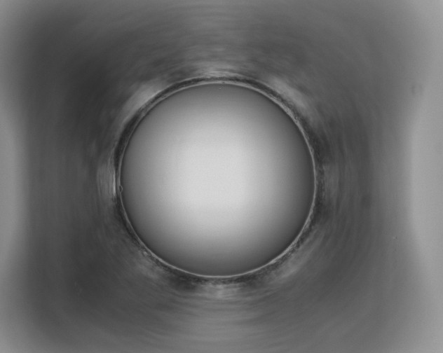 X0000113141269200909110927