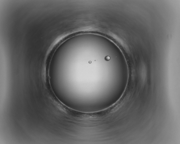 X0000113141270200909110927