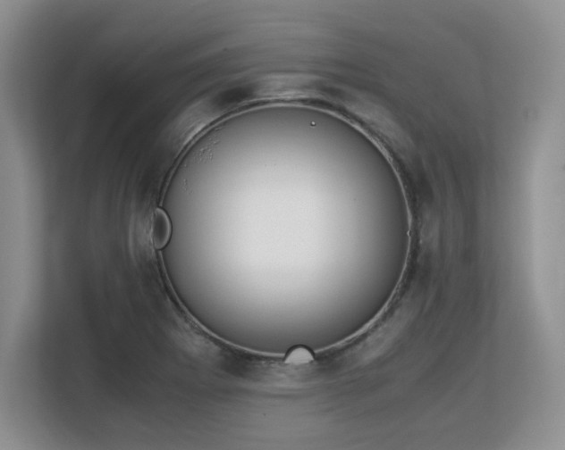 X0000113141273200909110927