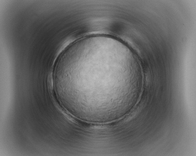 X0000113141274200909110927