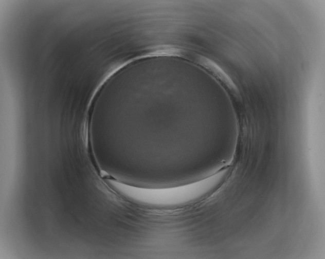 X0000113141276200909110927