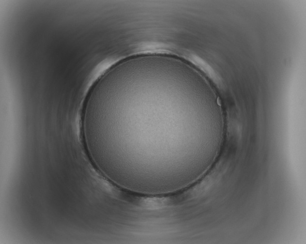 X0000113141277200909110927