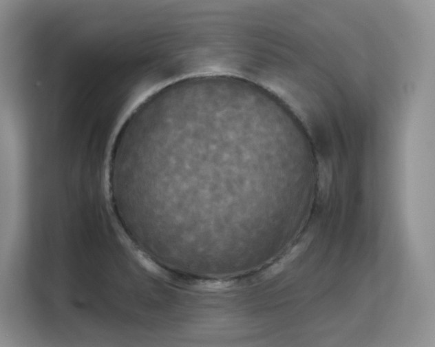 X0000113141278200909110926