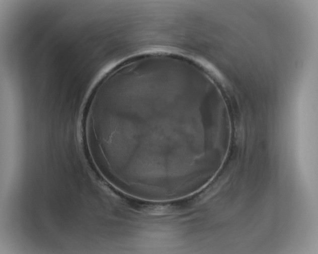 X0000113141279200909110926