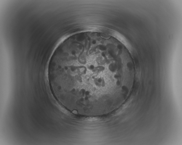 X0000113141283200909110926