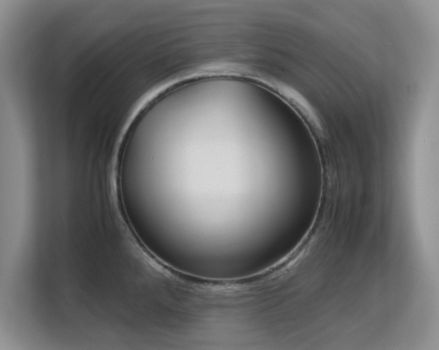 X0000113141288200909110926