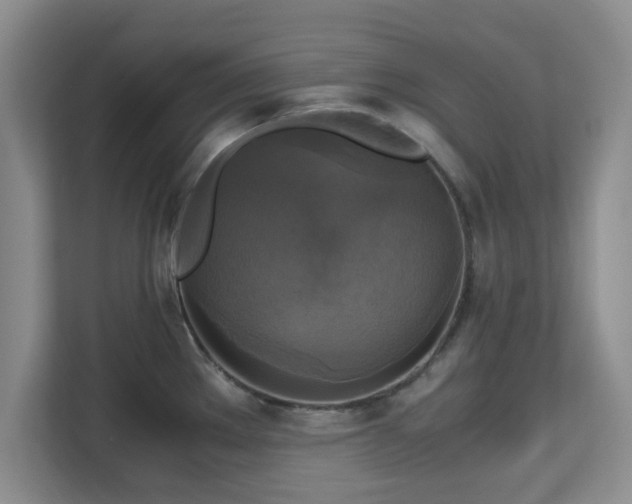 X0000113141289200909110926