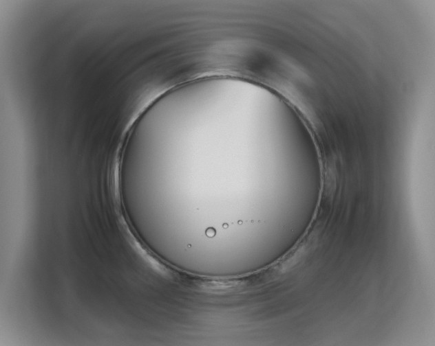 X0000113141290200909110926