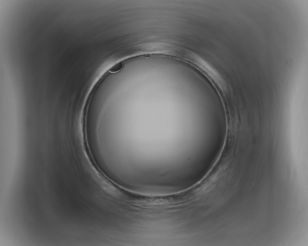 X0000113141291200909110926