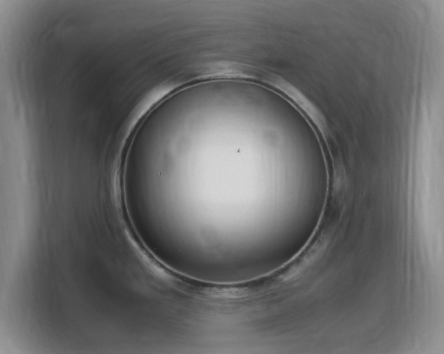 X0000113141293200909110926