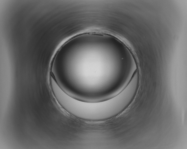 X0000113141296200909110926