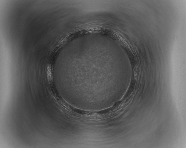 X0000113141298200909110926