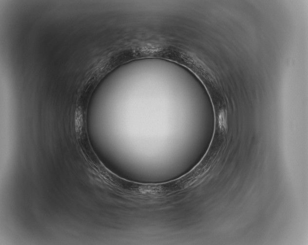 X0000113141299200909110926