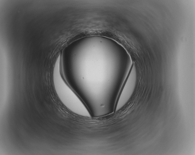 X0000113141300200909110926